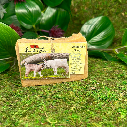 Goat Milk Soap- Orange Clove