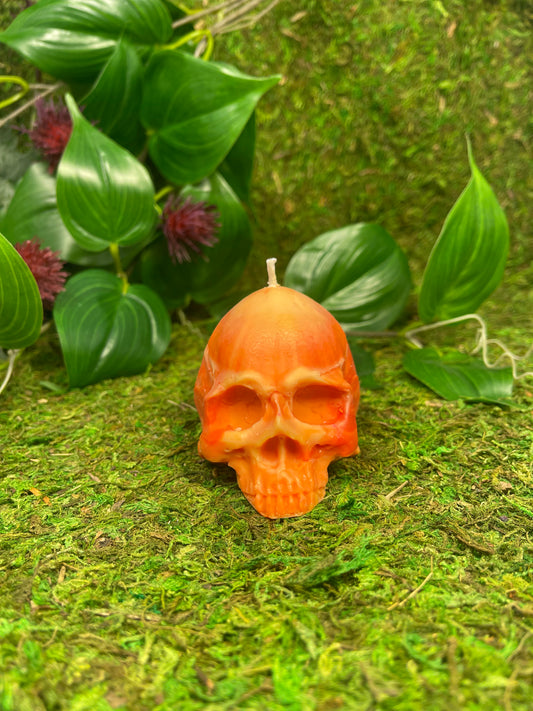 Skull Candle- orange and red