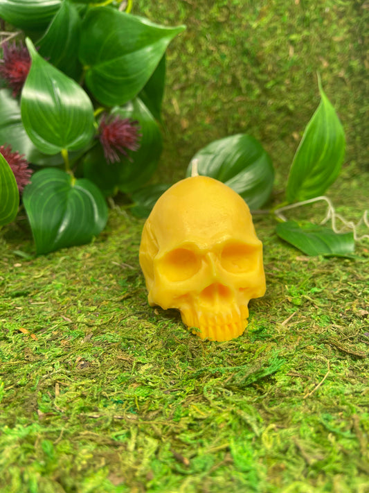 Skull Candle- yellow