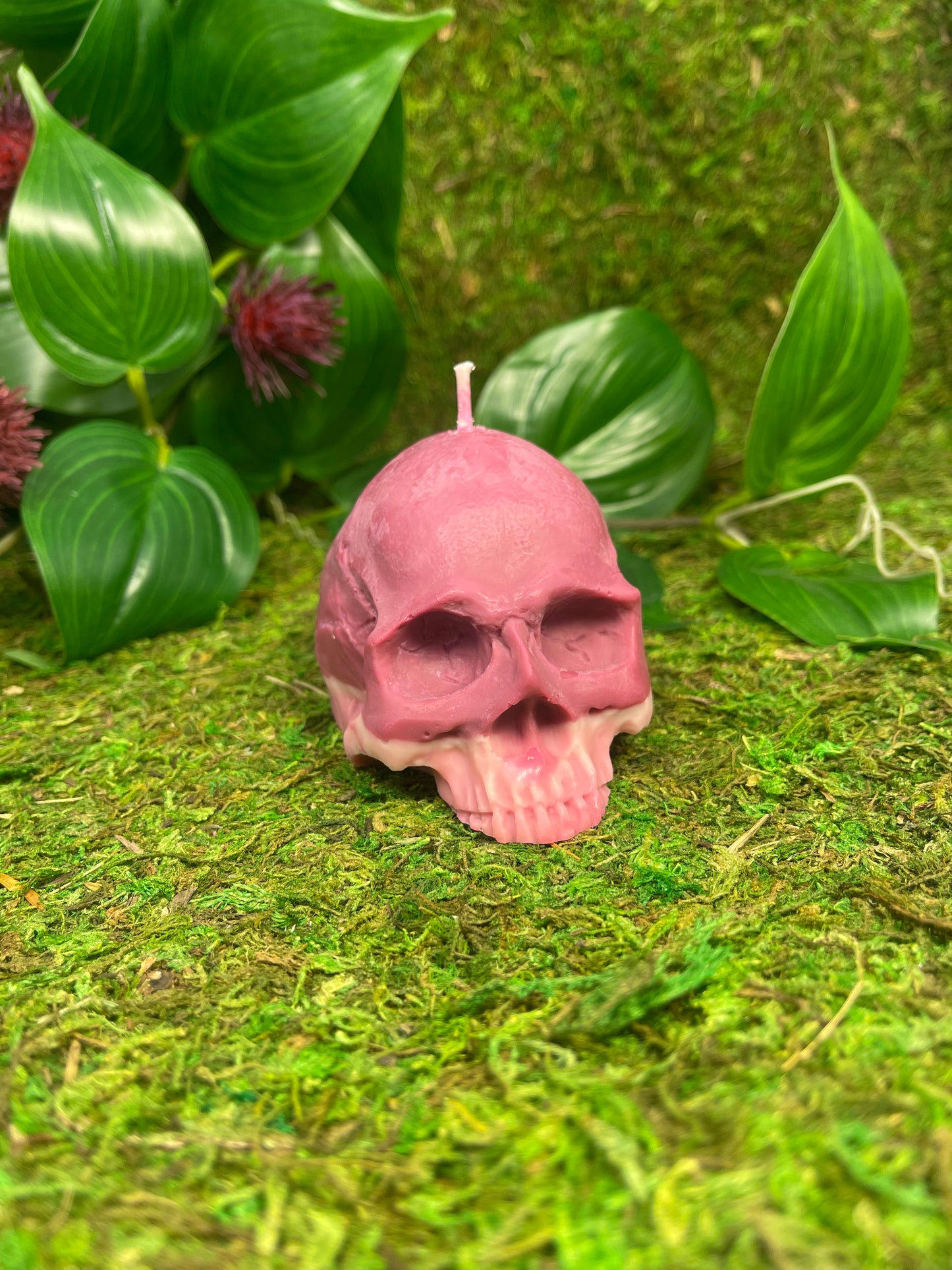 Skull Candle- purple and pink