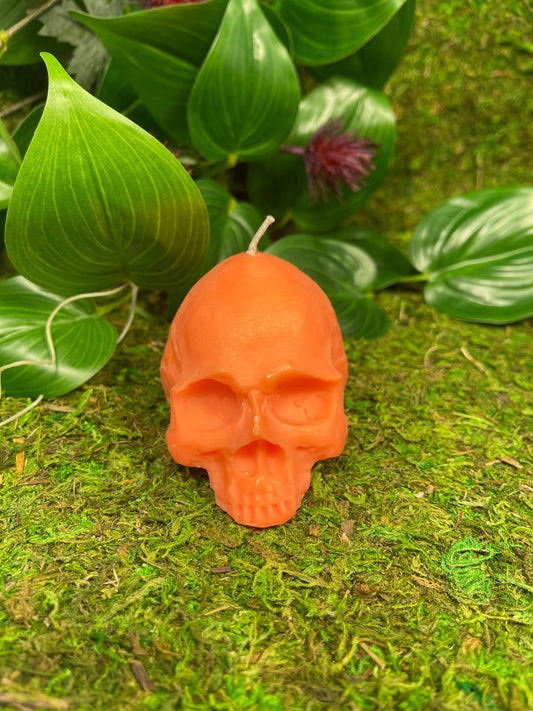 Skull Candle - Orange